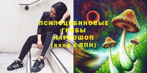 дурь Рославль