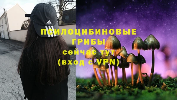 метамфетамин Алексеевка