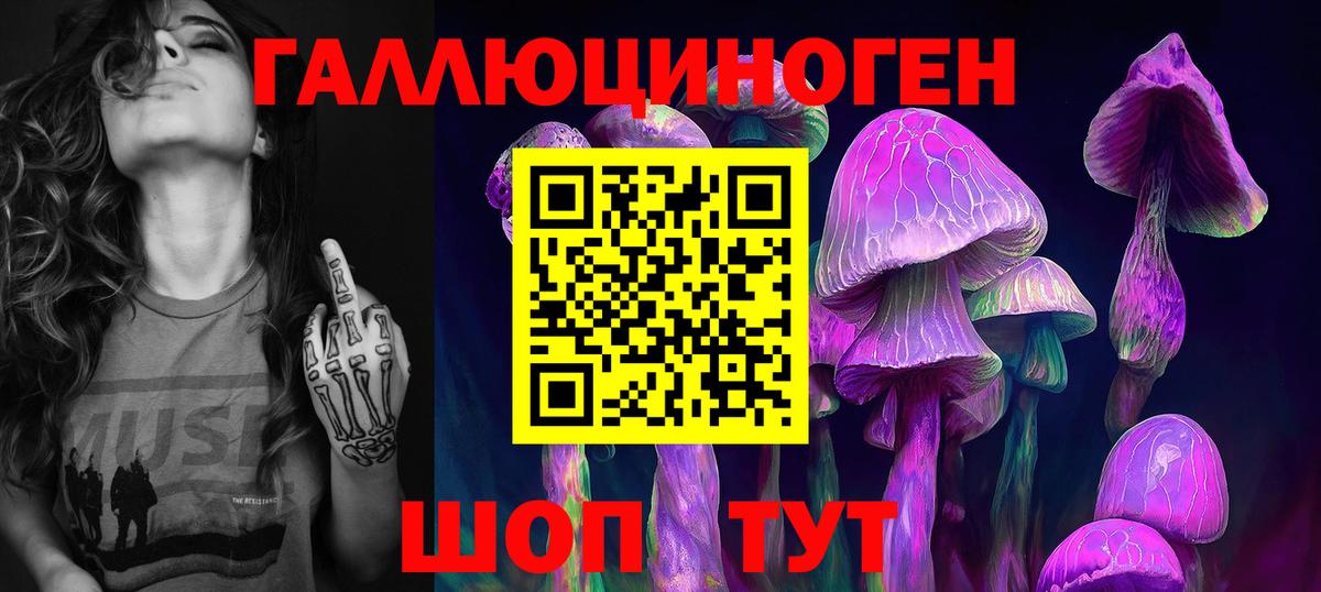 Котельники  Псилоцибиновые грибы GOLDEN TEACHER  Псилоцибиновые грибы Psilocybine cubensis  Вход с VPN 